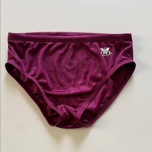 Tru West Men’s Maroon Nylon Swim Briefs Mens 30